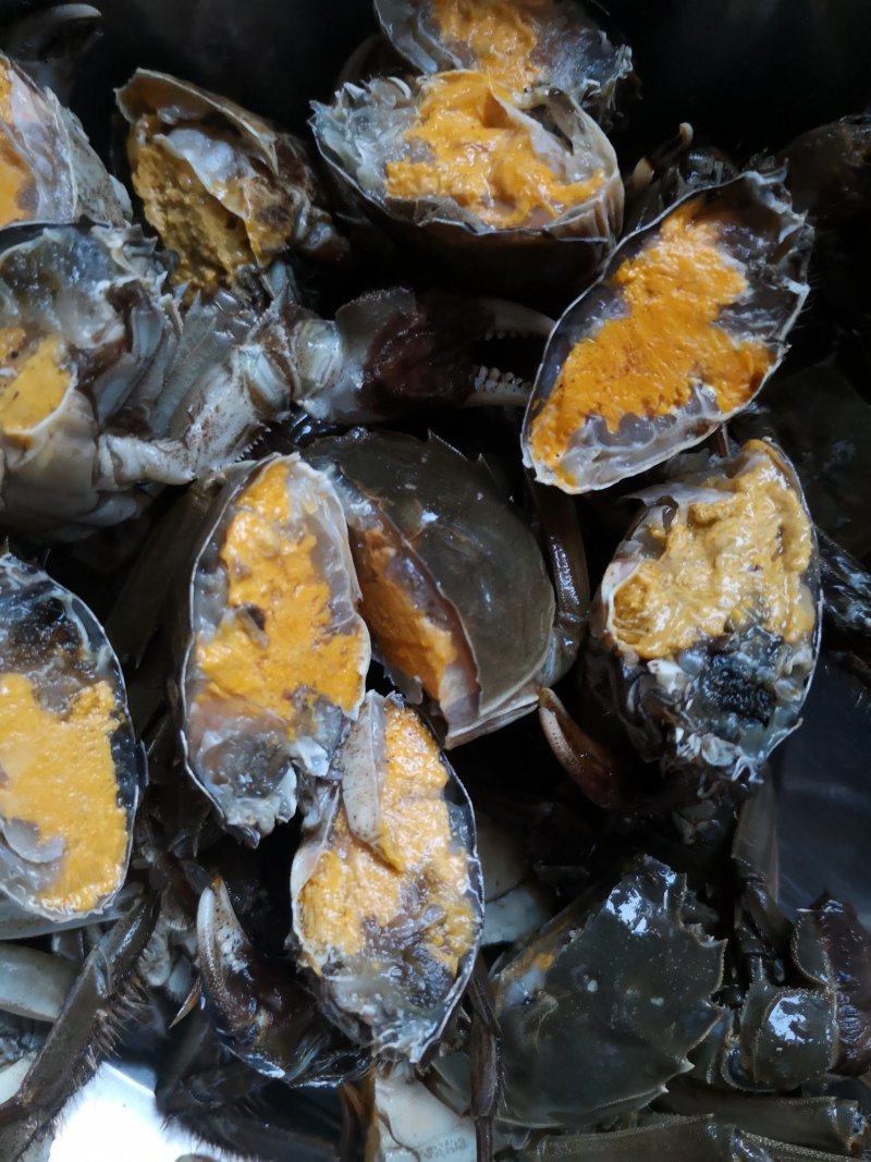 大闸蟹现货供应
