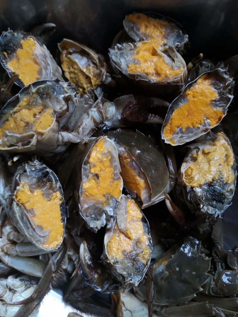 大闸蟹现货供应