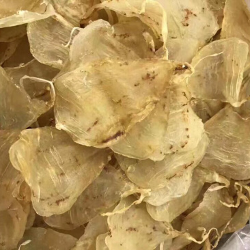 花胶斗湖胶囗感胶质好22-23头/斤