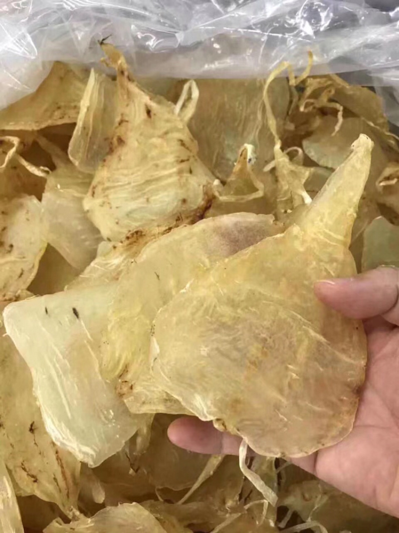 花胶斗湖胶囗感胶质好22-23头/斤