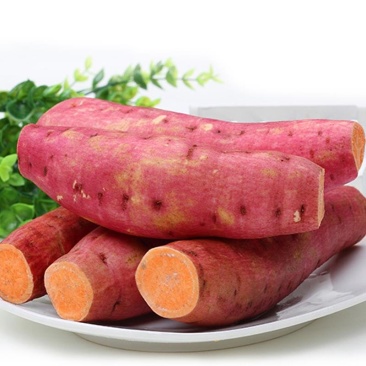 福良山西瓜红红薯红心红薯地瓜绿色食品