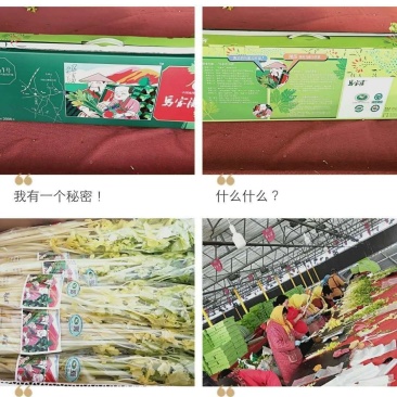 马家沟牌芹菜