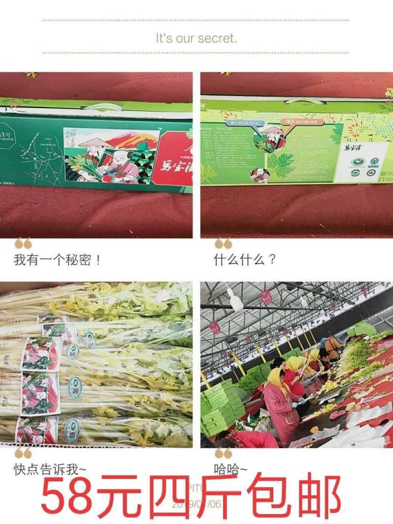 马家沟牌芹菜