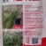 满缸油菜种子，生育期200-221天，最好亩产。500到