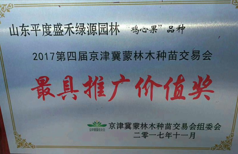 鸡心果3公分苗