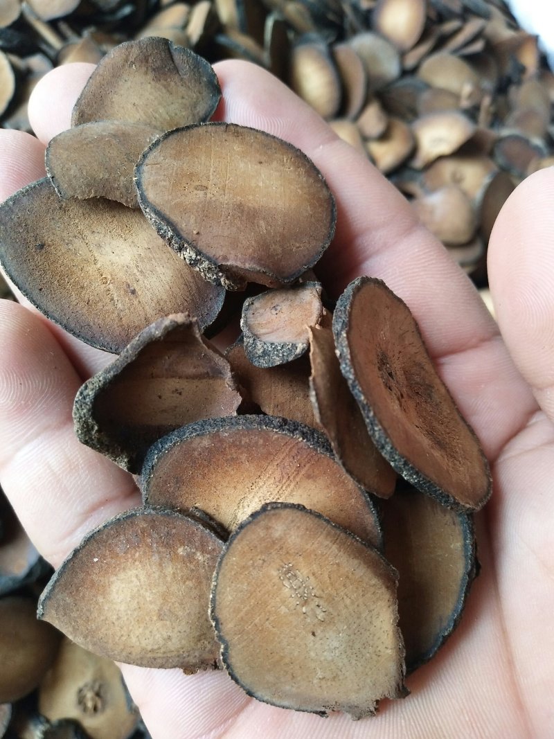 精选橘红圆珠片产地直销量大优惠