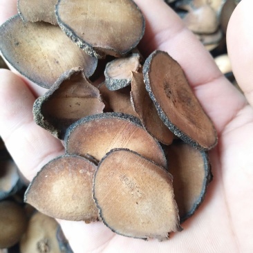 精选橘红圆珠片产地直销量大优惠