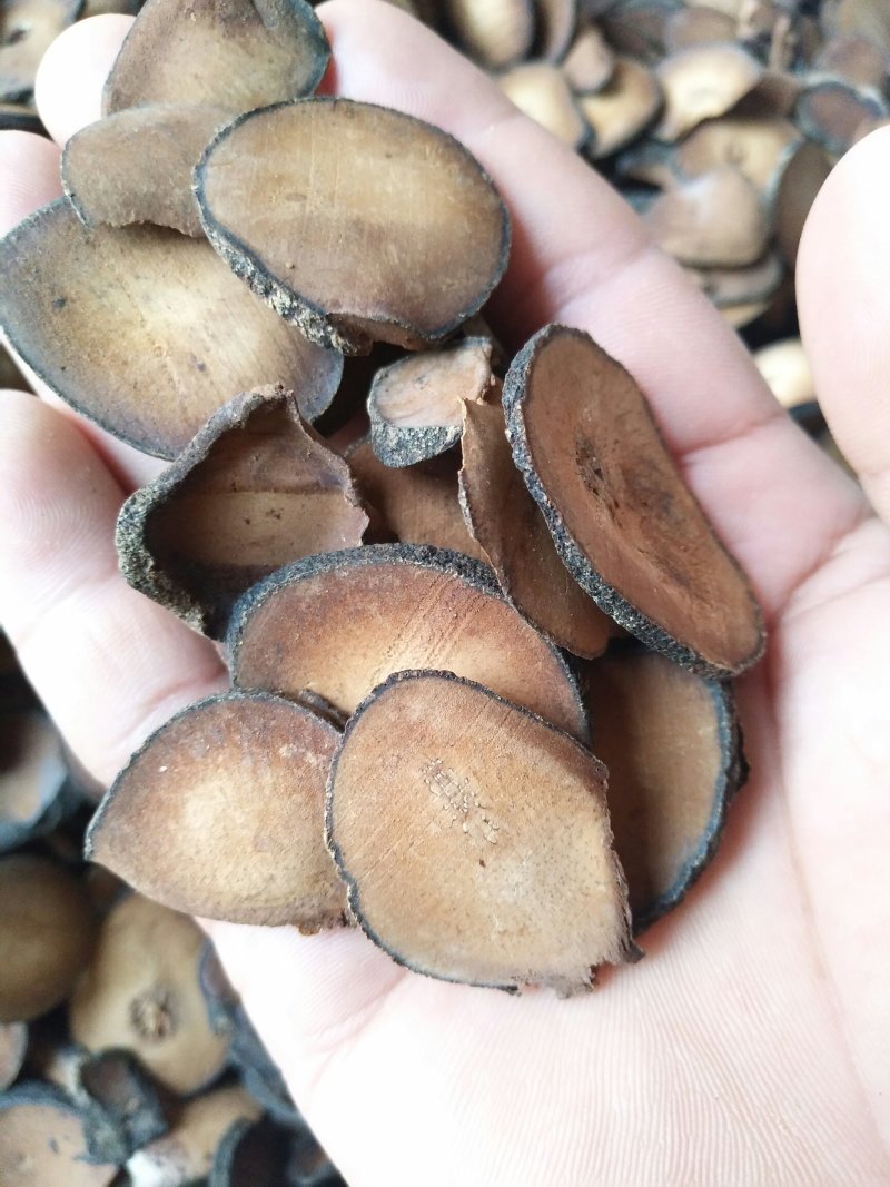 精选橘红圆珠片产地直销量大优惠