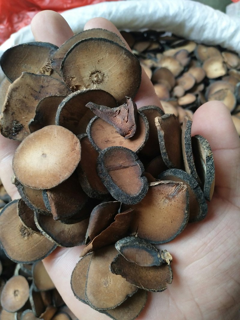 精选橘红圆珠片产地直销量大优惠
