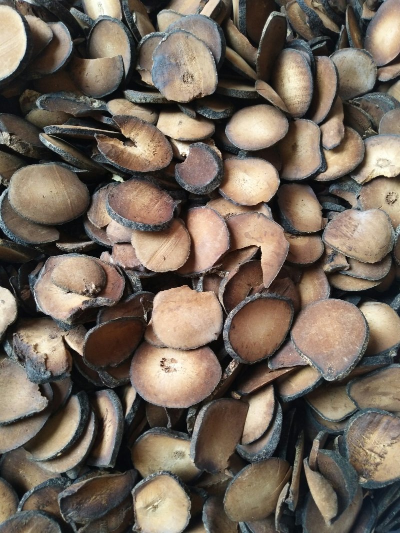 精选橘红圆珠片产地直销量大优惠
