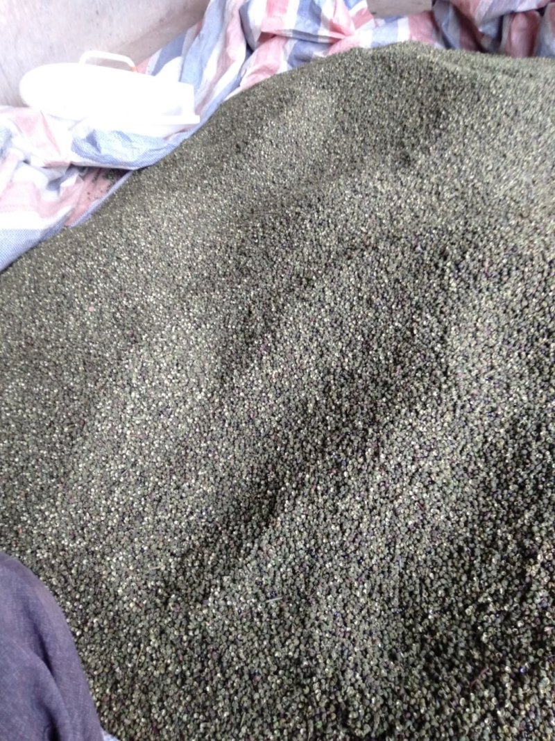 青花椒，麻椒，不打药。