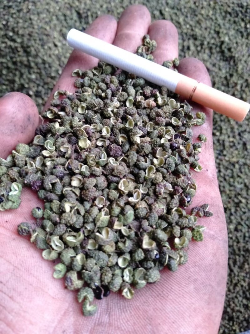 青花椒，麻椒，不打药。