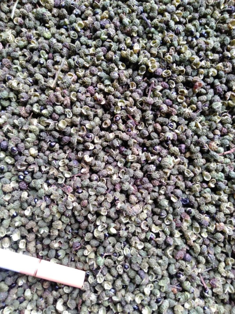 青花椒，麻椒，不打药。