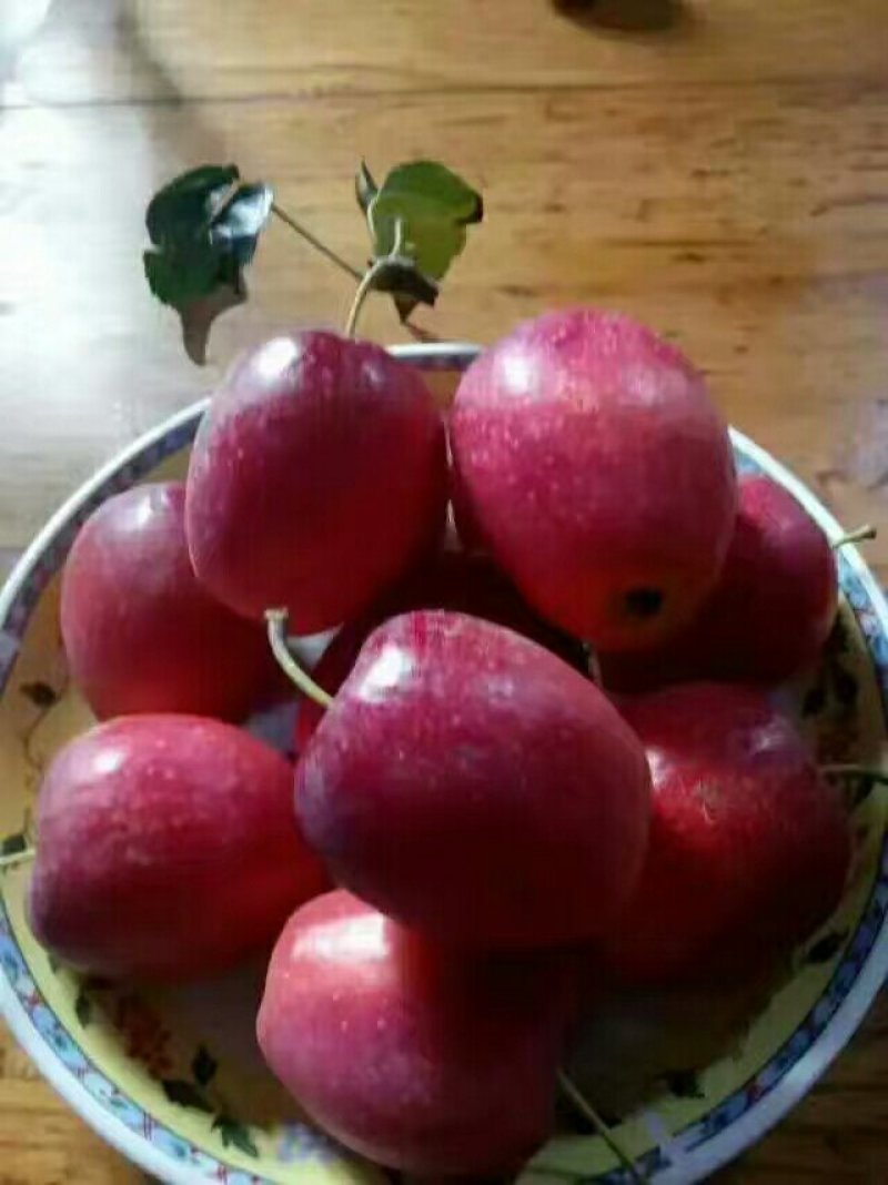 鸡心果