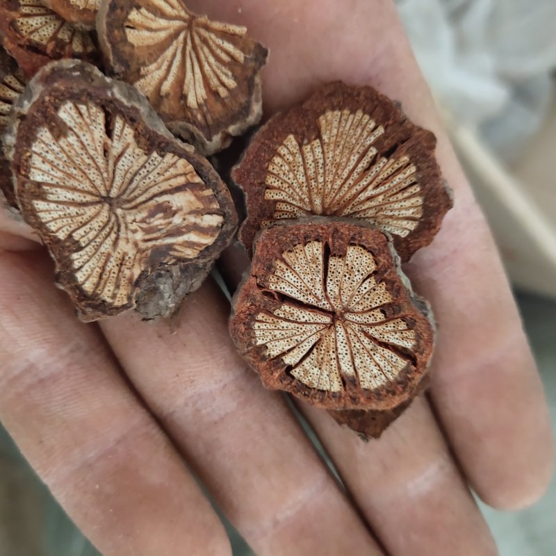 大血藤红腾无硫地道药材关书药业批发中药材