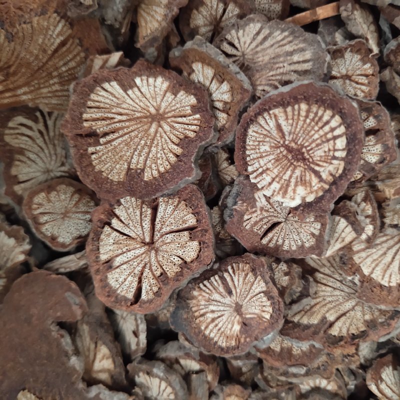 大血藤红腾无硫地道药材关书药业批发中药材