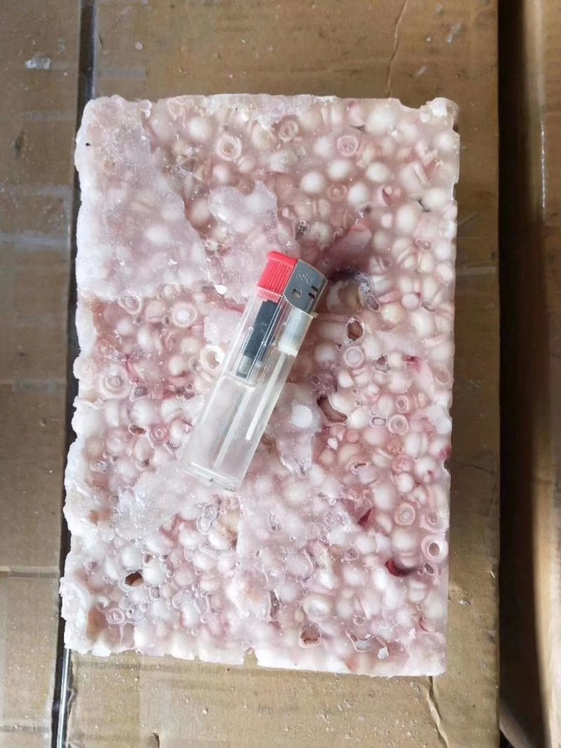 海灵菇鱿鱼