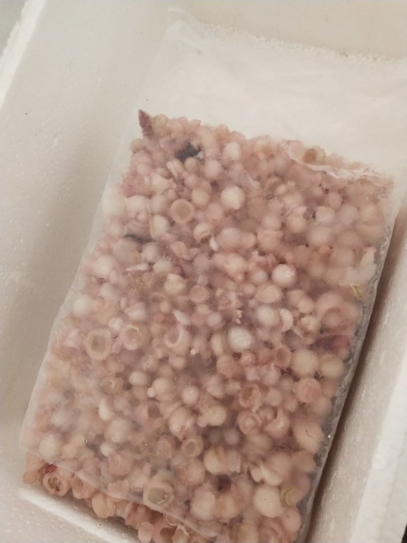 海灵菇鱿鱼