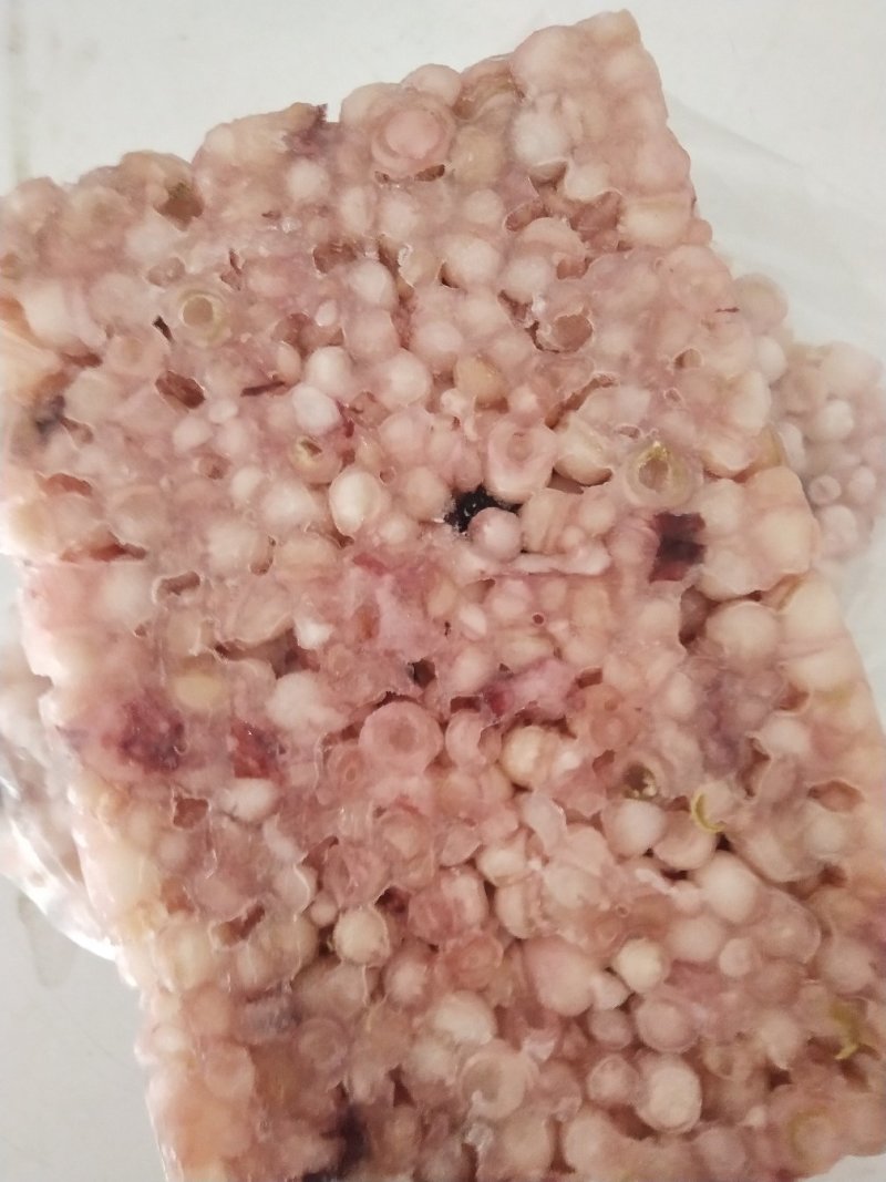 海灵菇鱿鱼