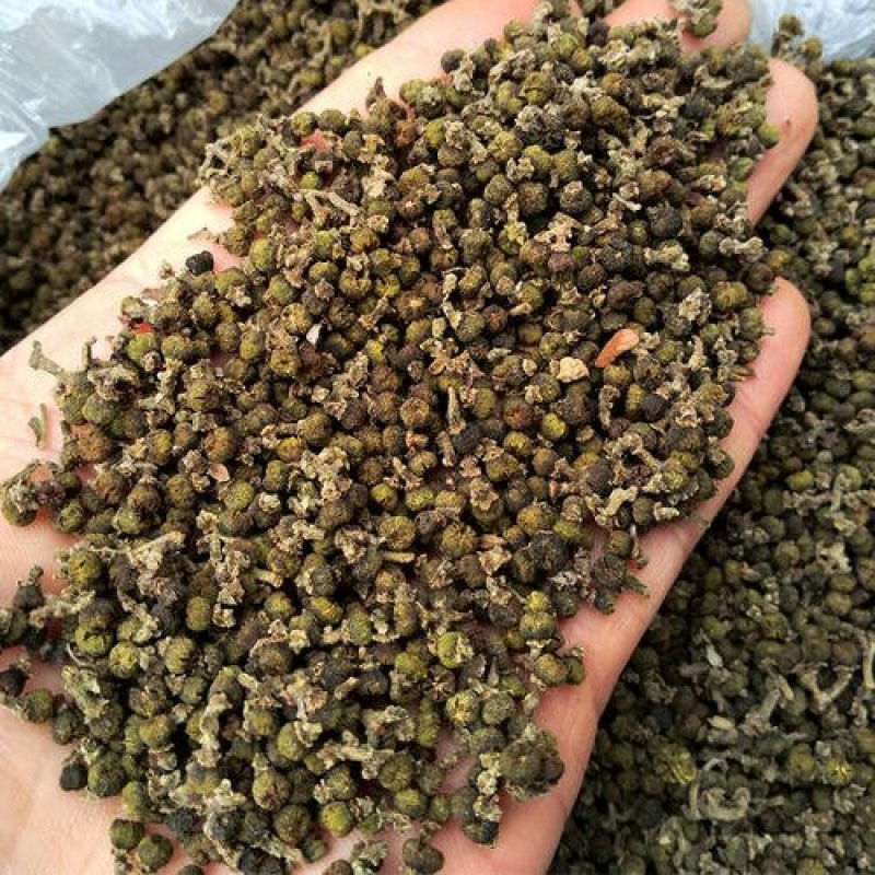 吴茱萸千余品种供应承接订单
