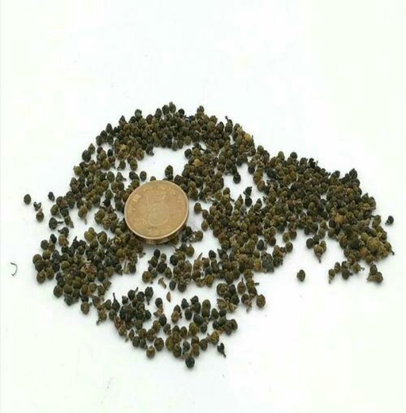 吴茱萸产地直供可搭配多品种采购大货联系客服