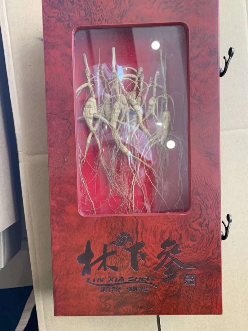 鲜人参