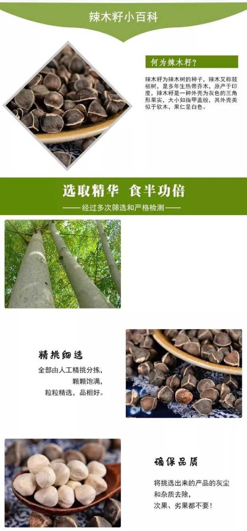 批发云南辣木籽特大颗粒价处理清仓甩卖包邮