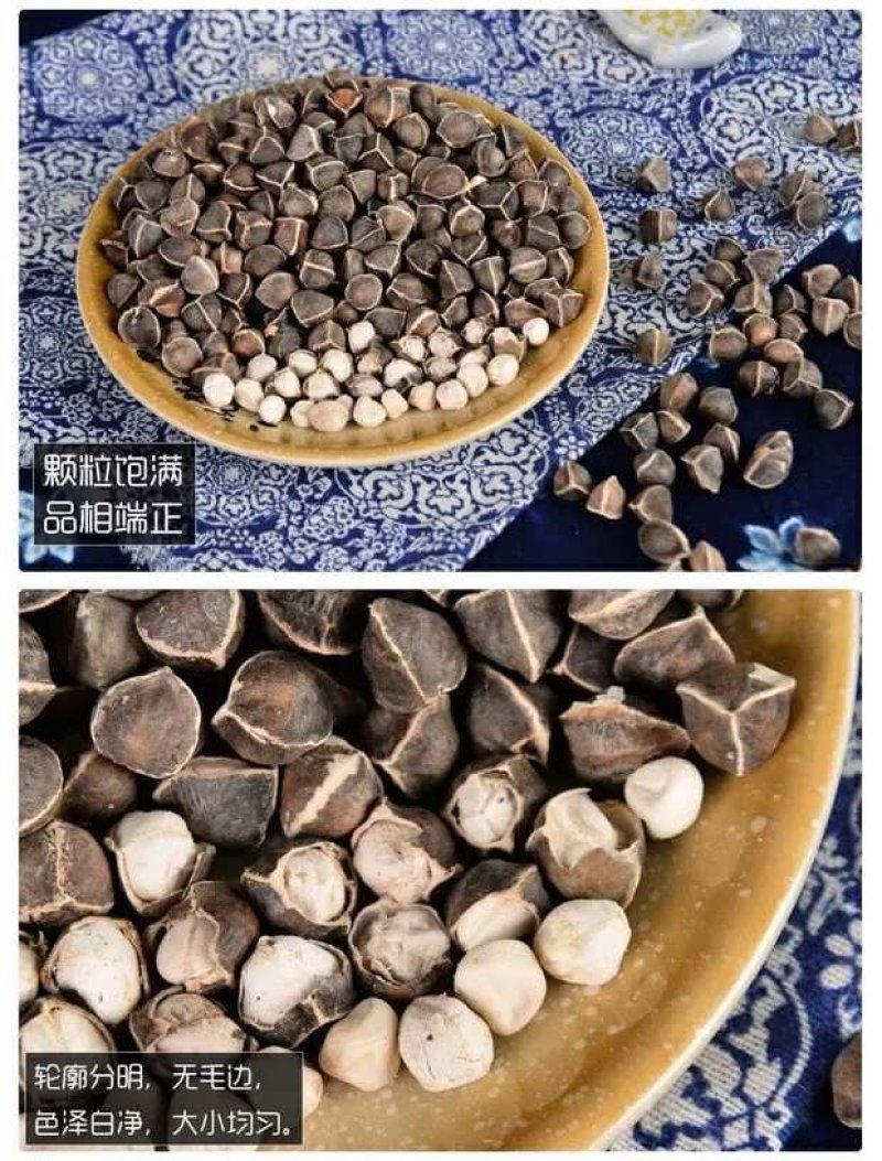 批发云南辣木籽特大颗粒价处理清仓甩卖包邮