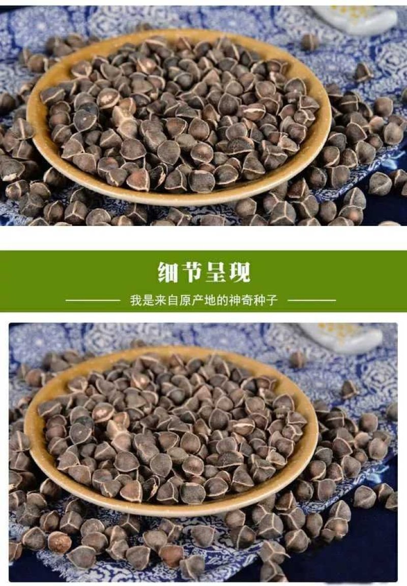 批发云南辣木籽特大颗粒价处理清仓甩卖包邮