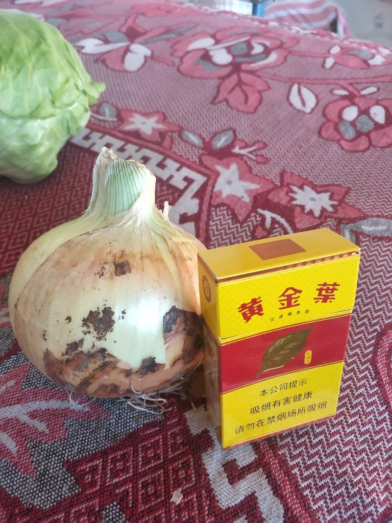 沽源黄洋葱紫洋葱红洋葱上市中