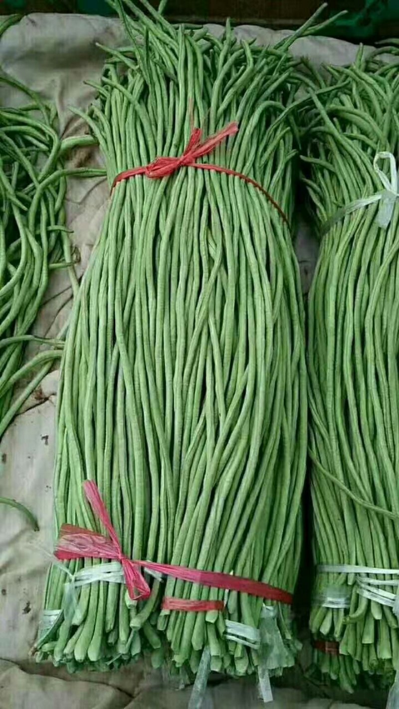 长豆角大量上市