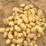 希森6号大量上市基地直装线上购买，支持视频看货