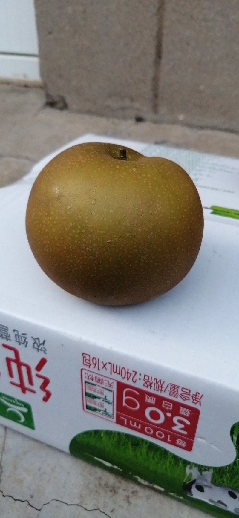 秋月雪青马上成熟