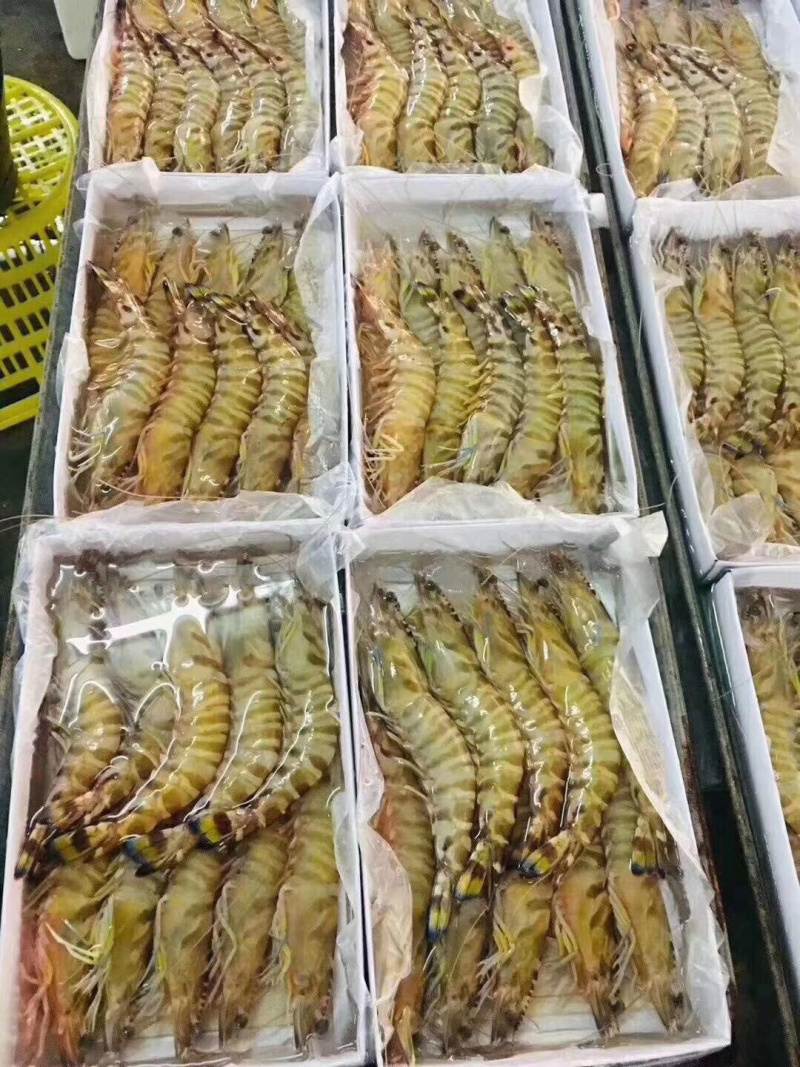 班节虾