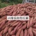 **陕西红薯优质板栗薯新秦薯商品红薯秦薯5号