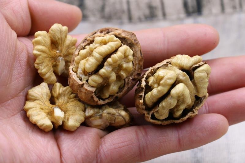 云南薄皮核桃野生大麻果核桃5斤起批大量厂家直销