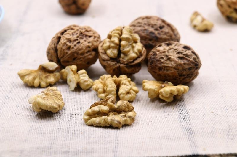 云南薄皮核桃野生大麻果核桃5斤起批大量厂家直销