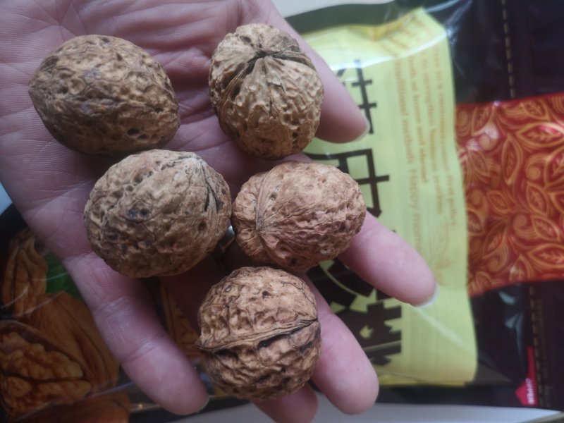 云南薄皮核桃野生大麻果核桃5斤起批大量厂家直销