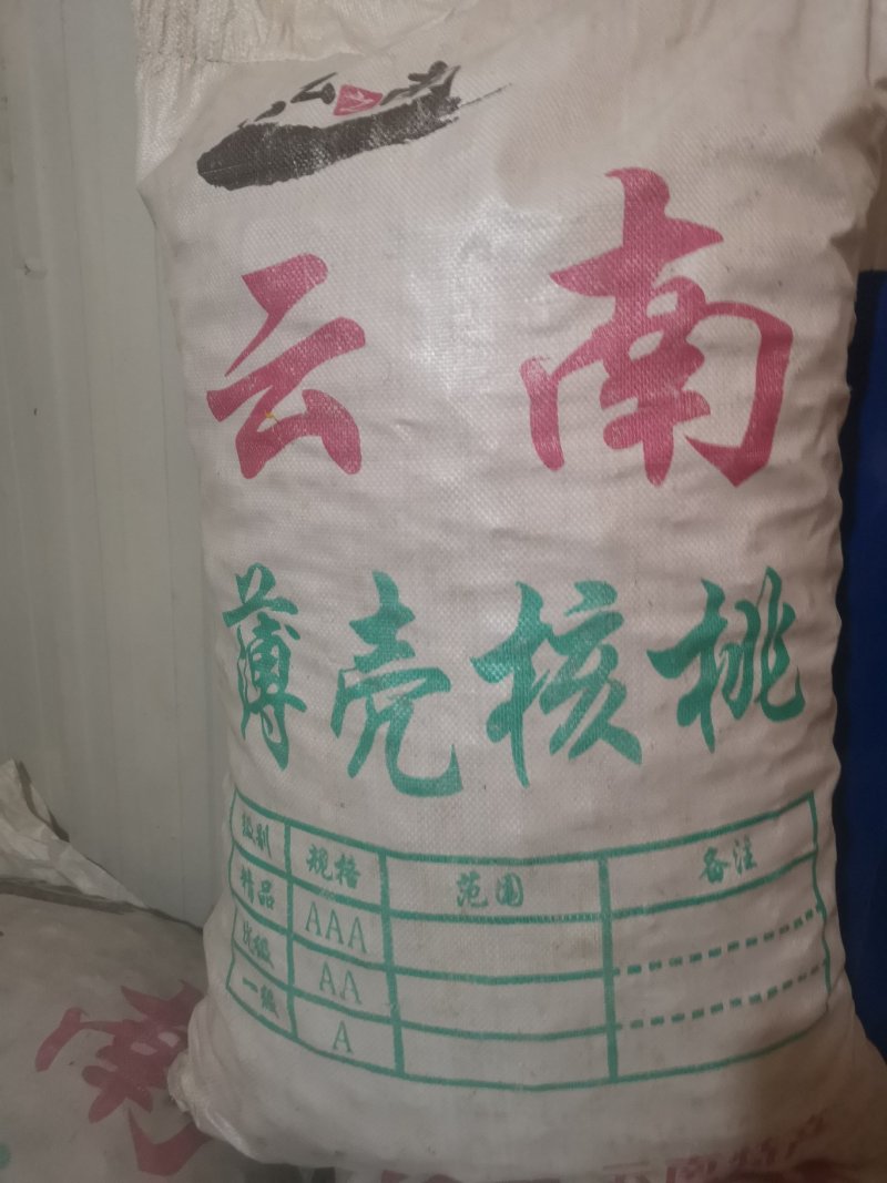云南薄皮核桃野生大麻果核桃5斤起批大量厂家直销