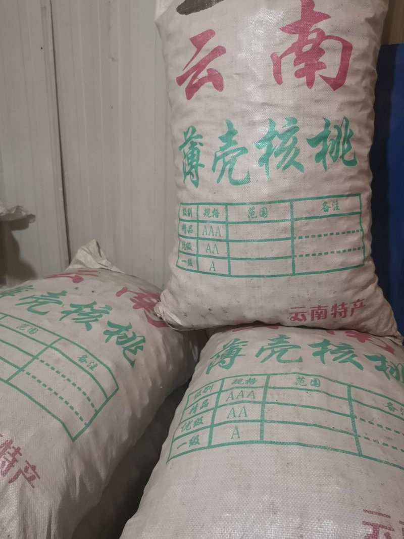 云南薄皮核桃野生大麻果核桃5斤起批大量厂家直销
