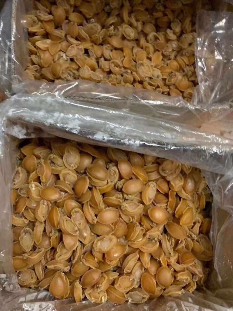 鲍鱼干