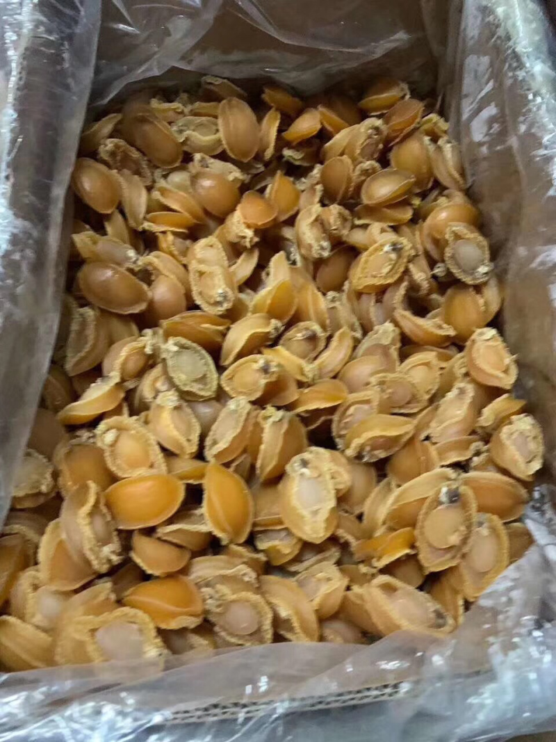 鲍鱼干