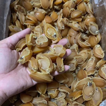 鲍鱼干