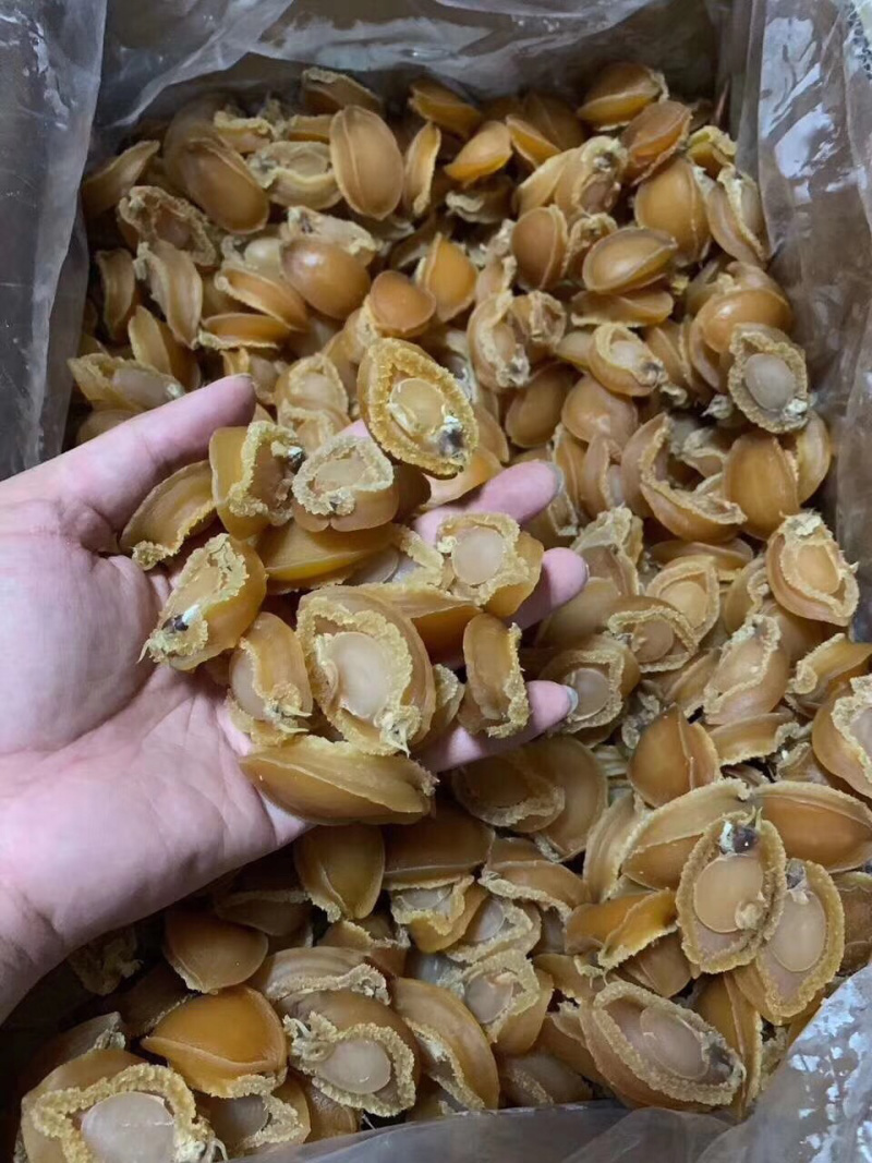 鲍鱼干