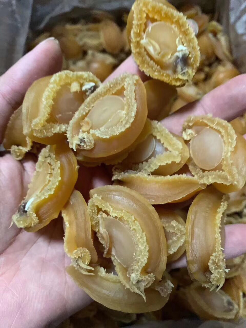 鲍鱼干