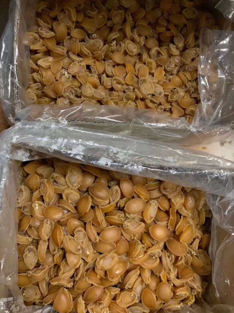 鲍鱼干