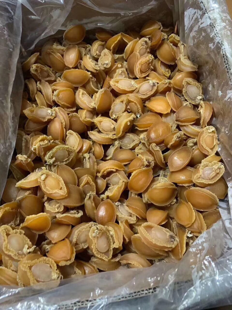鲍鱼干