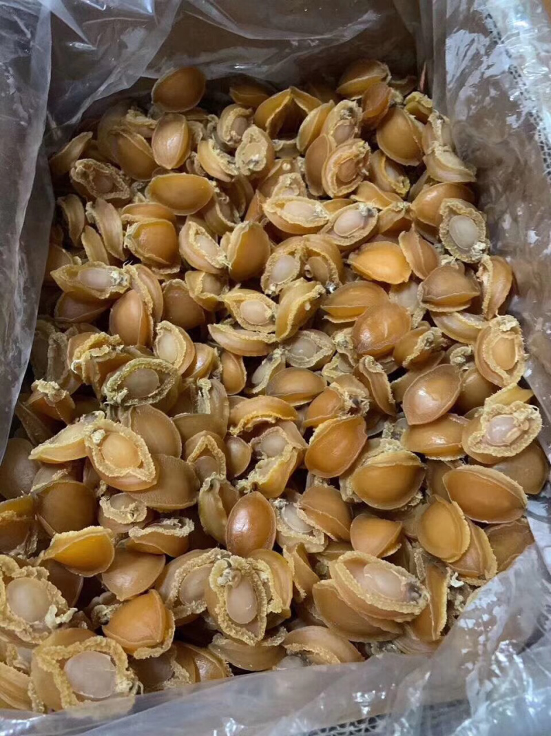 鲍鱼干