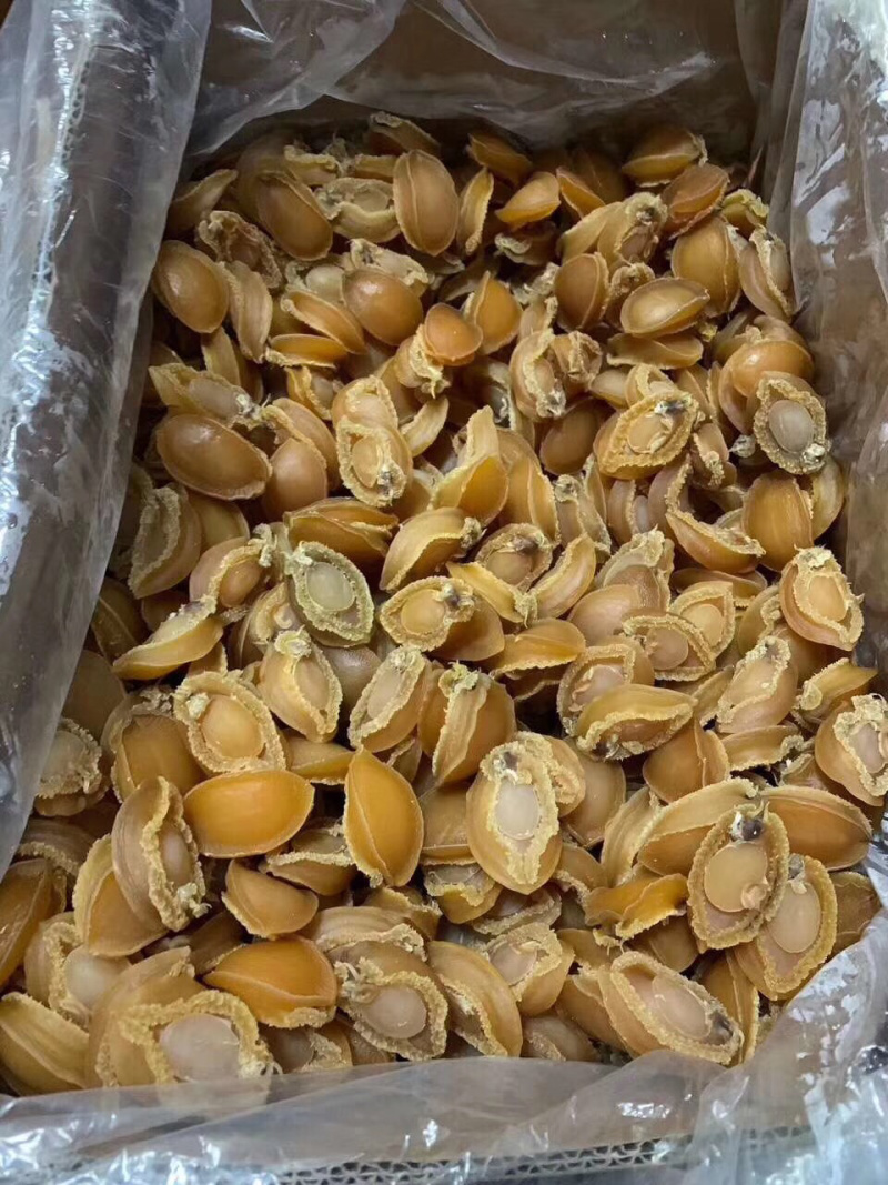 鲍鱼干