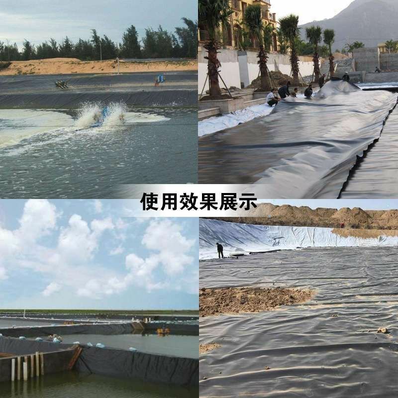 土工膜复合土工膜防渗膜沼气池